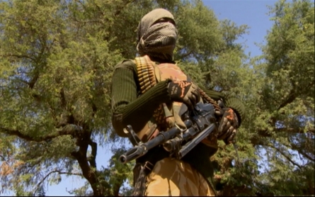 The offensive against Boko Haram